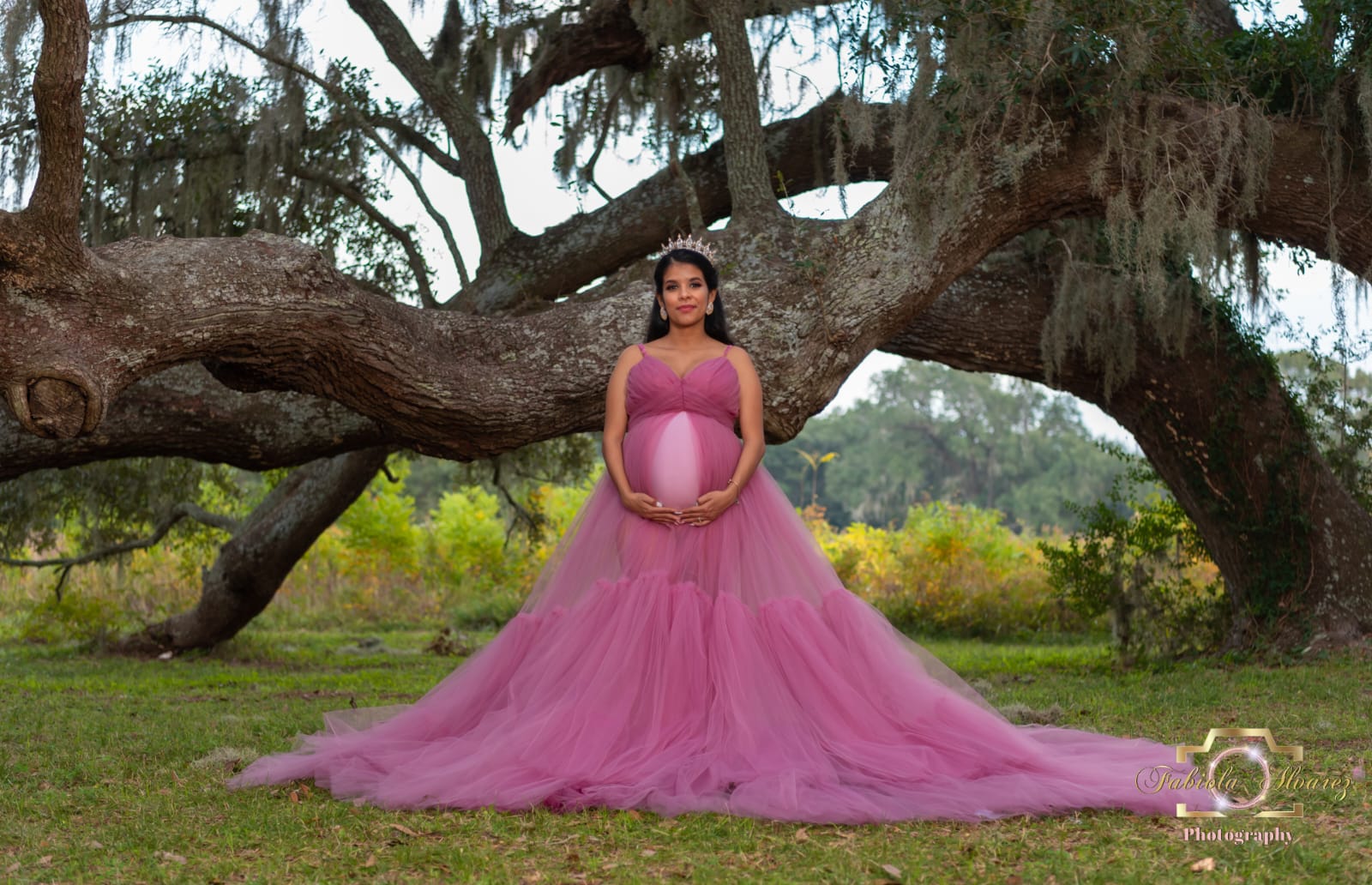 Martenity Dress Style Camila